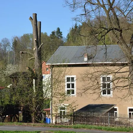 Fewo Natuerlich-Wolf Königstein Exterior foto
